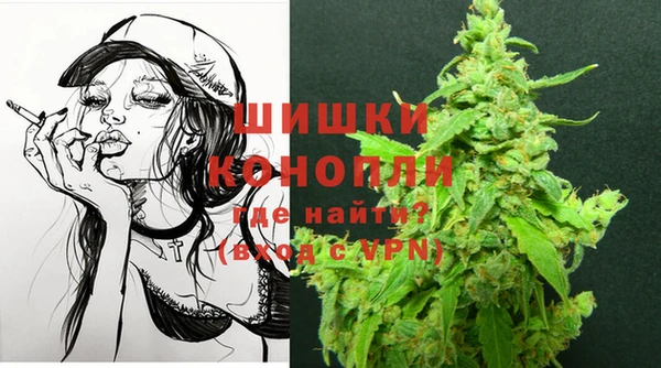 стаф Каменск-Шахтинский