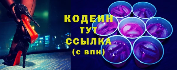 МДПВ Каменка