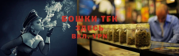 МДПВ Каменка