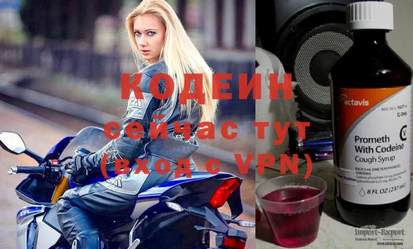 стаф Каменск-Шахтинский
