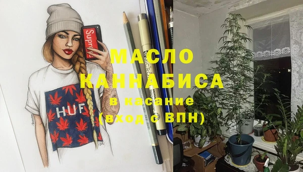 МДПВ Каменка