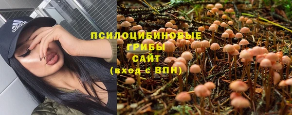 стаф Каменск-Шахтинский