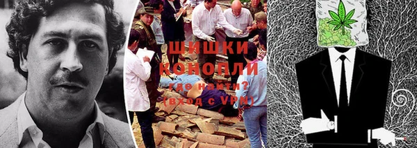 первитин Каменногорск