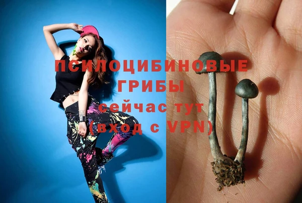 МДПВ Каменка