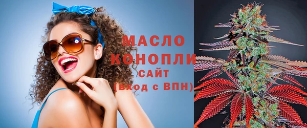 МДПВ Каменка