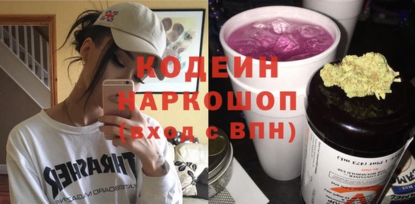 МДПВ Каменка