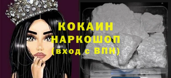 МДПВ Каменка