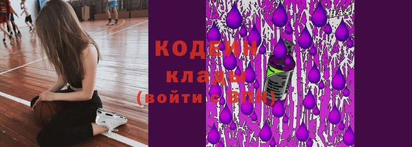 МДПВ Каменка