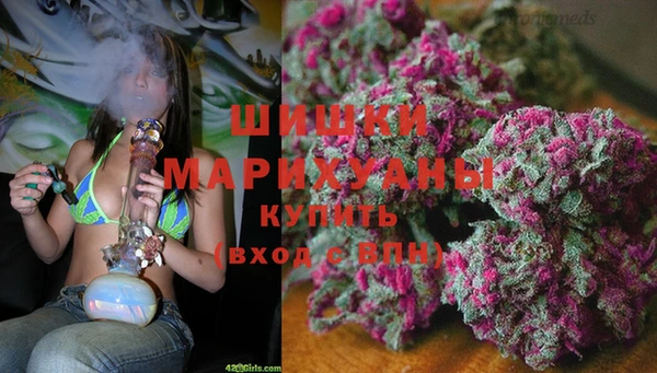 МДПВ Каменка