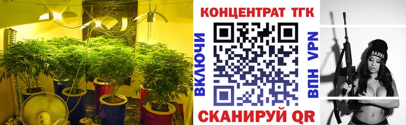 Купить закладки  Камень-на-Оби  Дистиллят ТГК жижа 